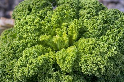leafy-greens-7023497_1280
